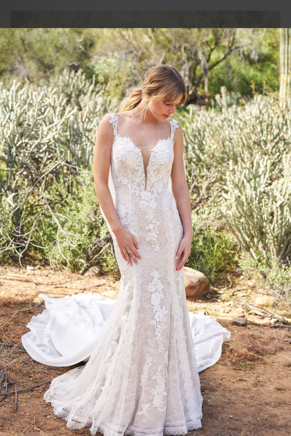 Radiant Romance: Plus Size Summer Wedding Dresses That Celebrate Every Curve