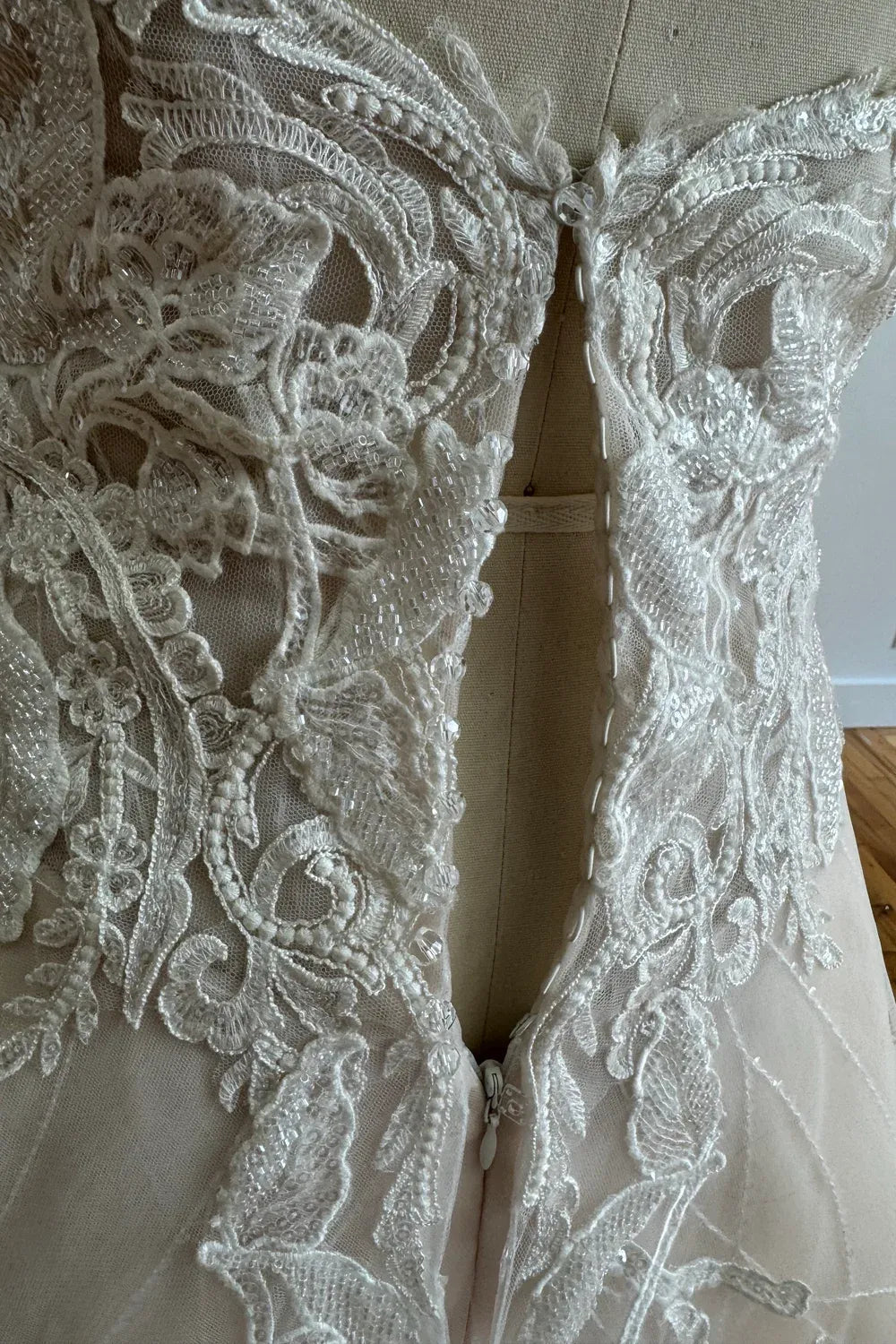 Randy Fenoli Dixie 5