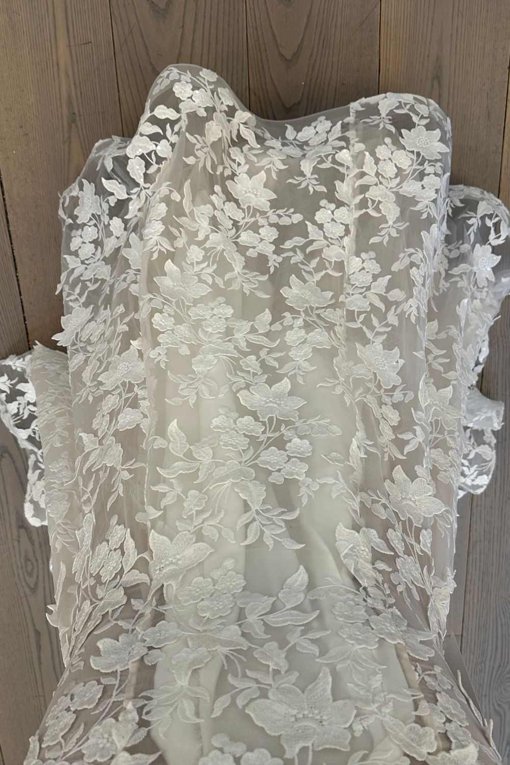 Tina Valerdi Calanthe  5