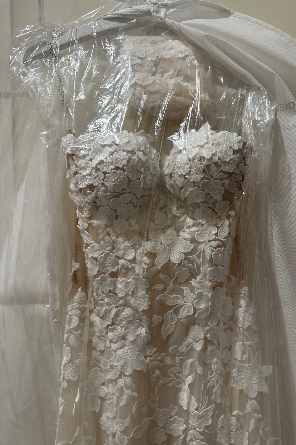 Tina Valerdi Calanthe  6