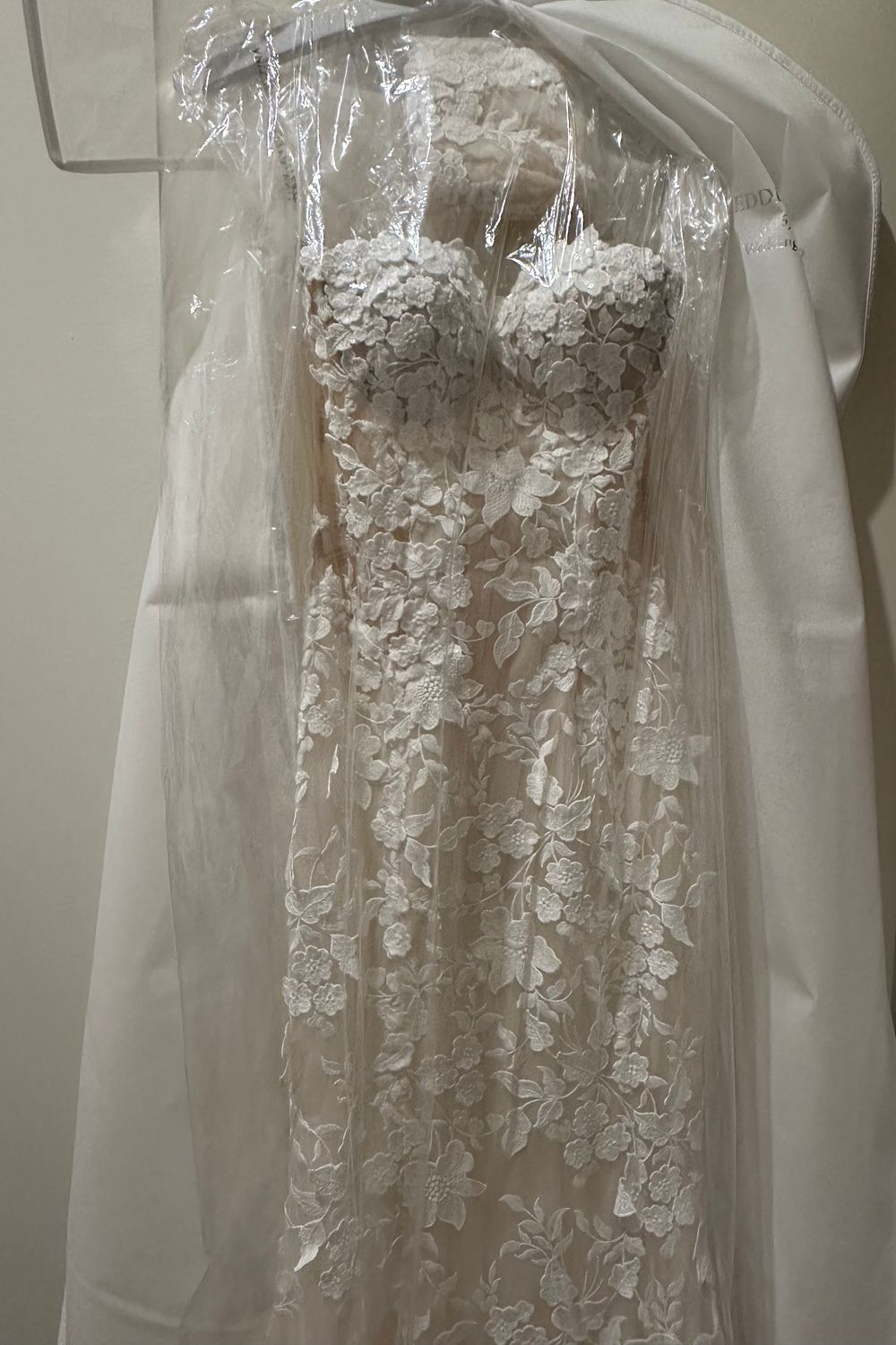 Tina Valerdi Calanthe  2