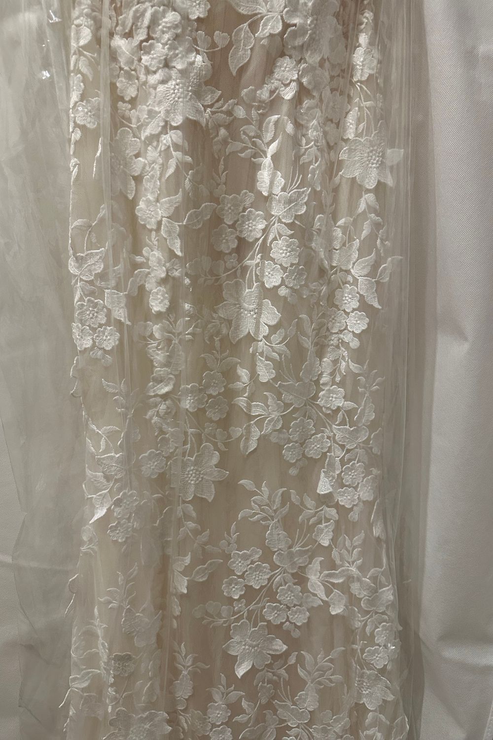 Tina Valerdi Calanthe  3