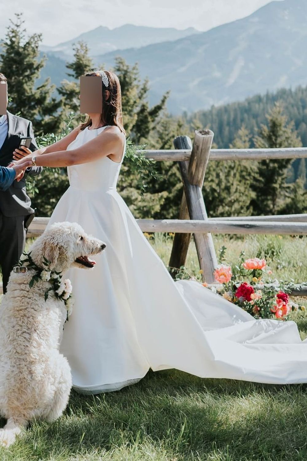 Sareh Nouri Addison 8