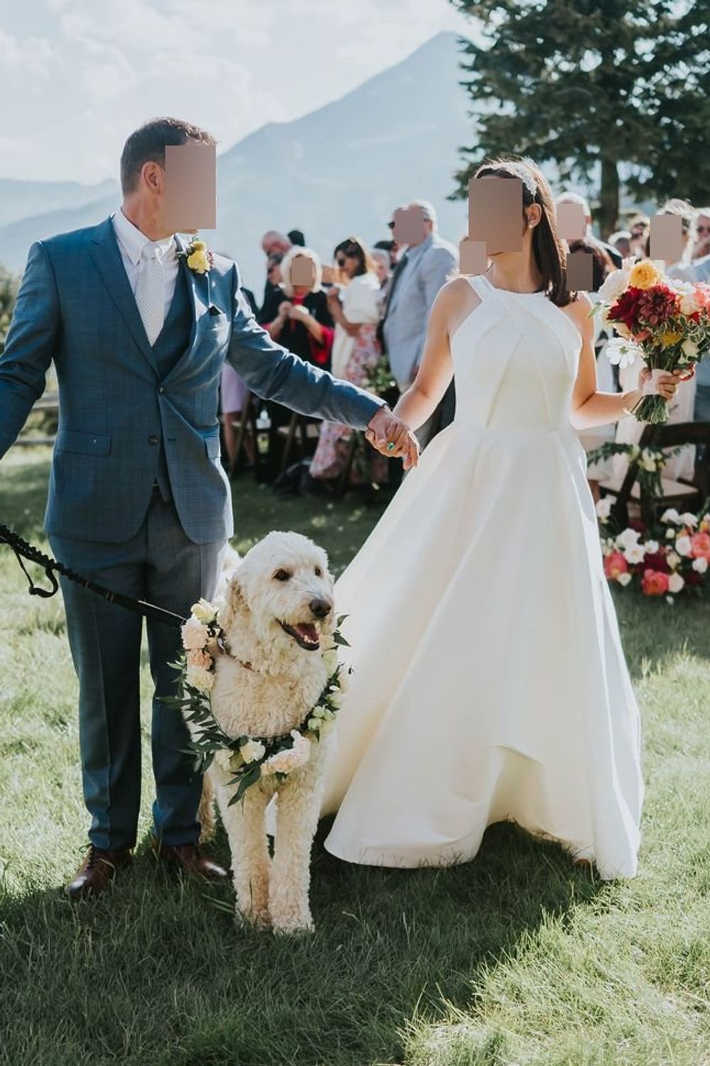 Sareh Nouri Addison 7