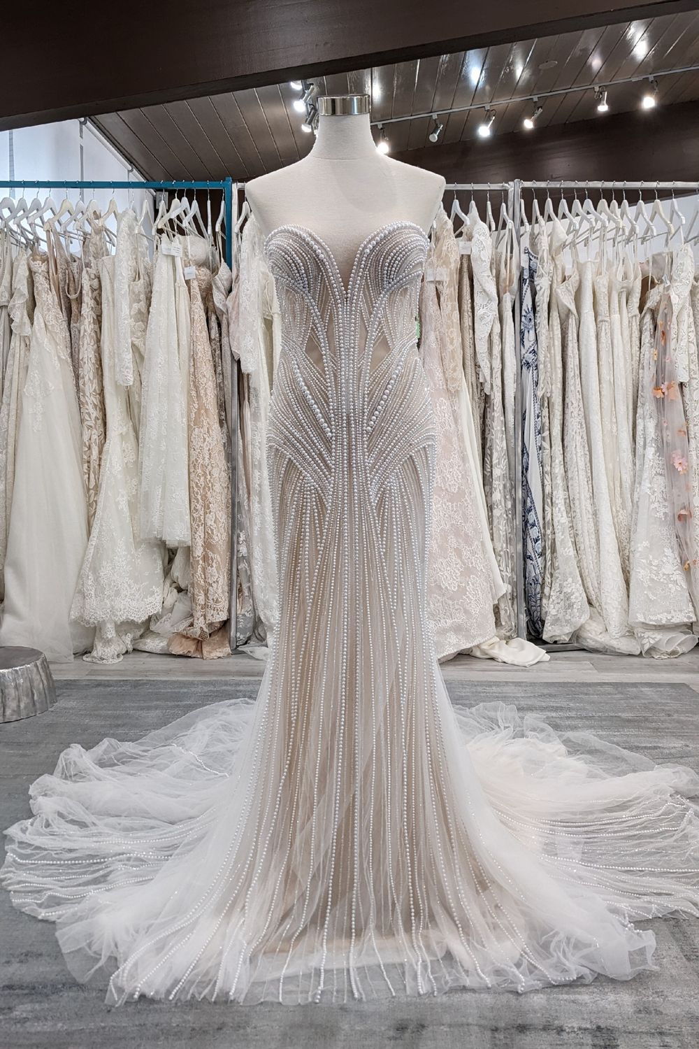 Dana Harel Natasha 1