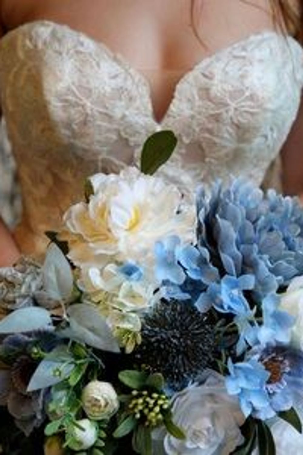 Martina Liana Martina Liana 1237 5