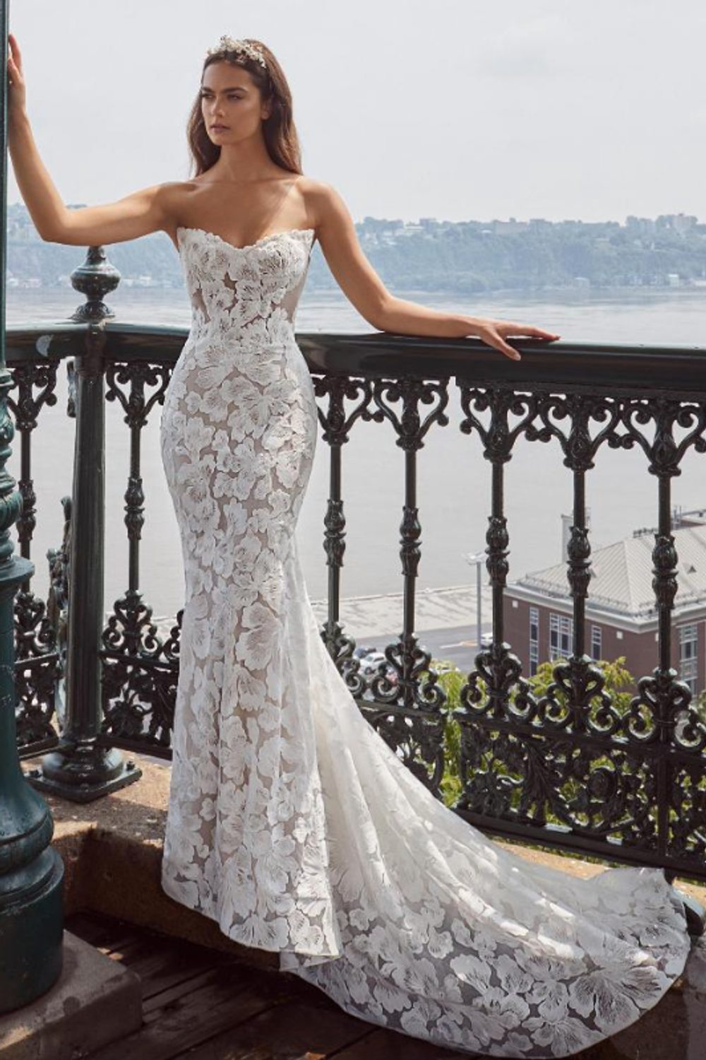 Calla Blanche Jill 1