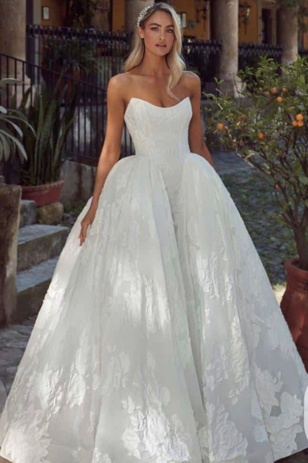 Calla Blanche Ruta 0