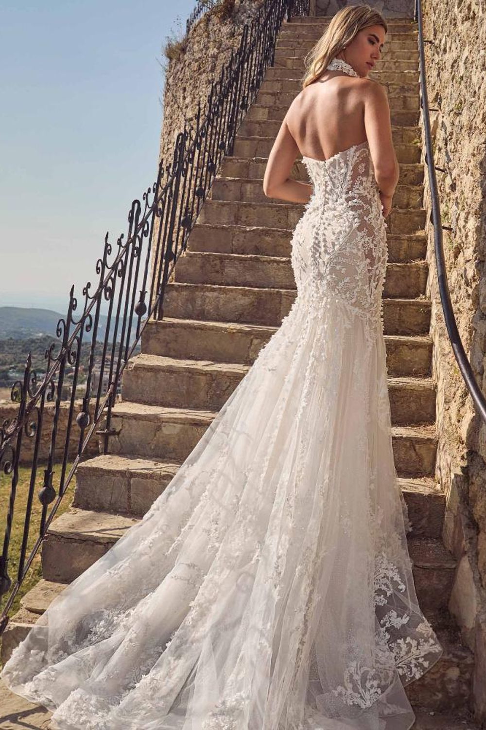 Calla Blanche 125126 4