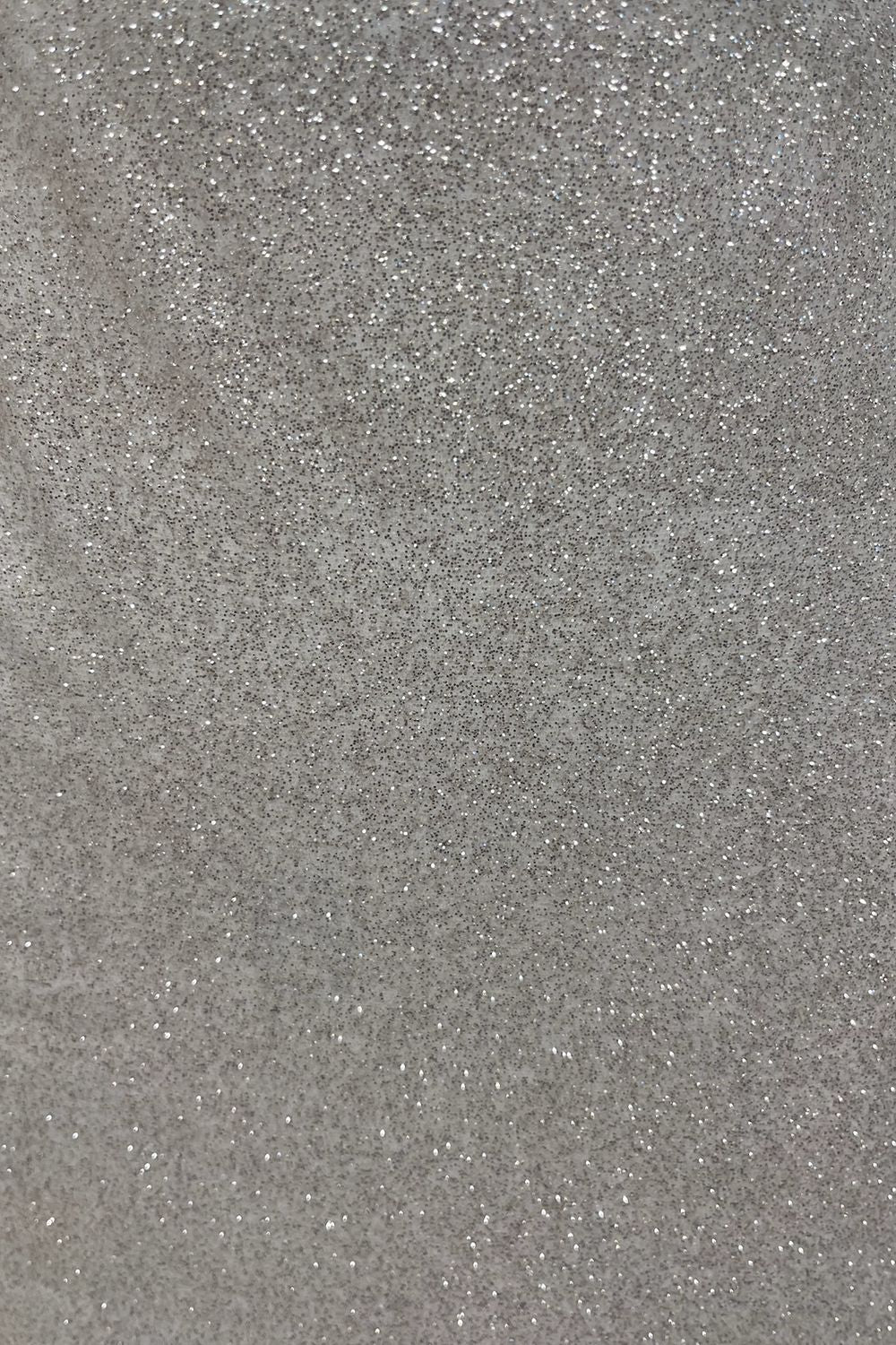 Olia Zavozina Whitney 3