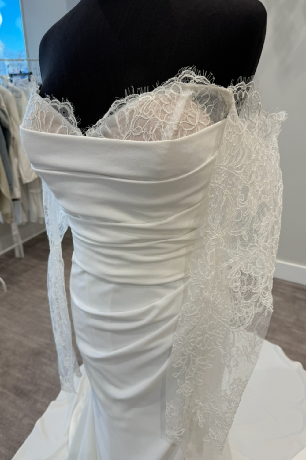 Private Collection Daphne 2