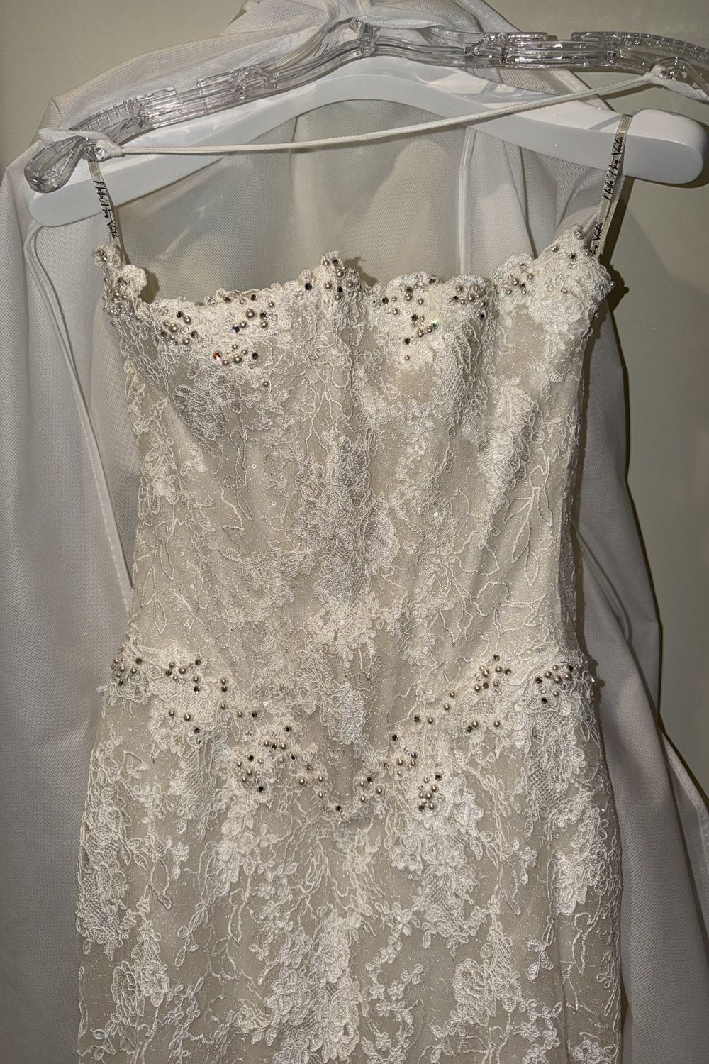 Netta BenShabu Holland 5