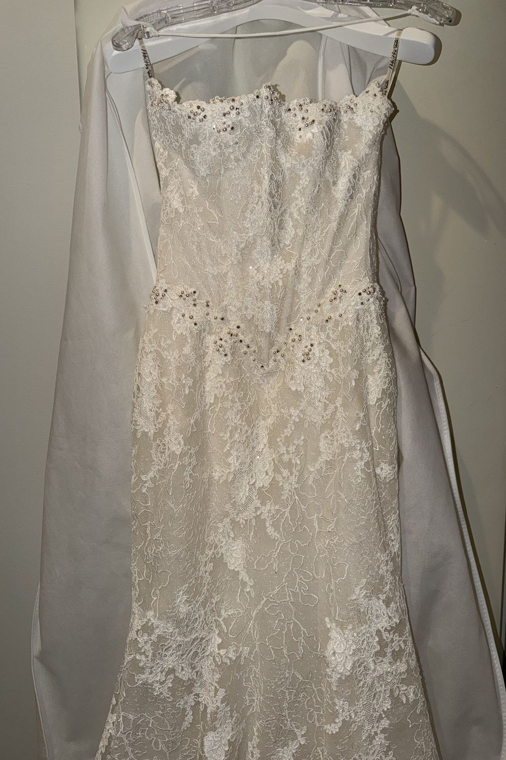 Netta BenShabu Holland 6