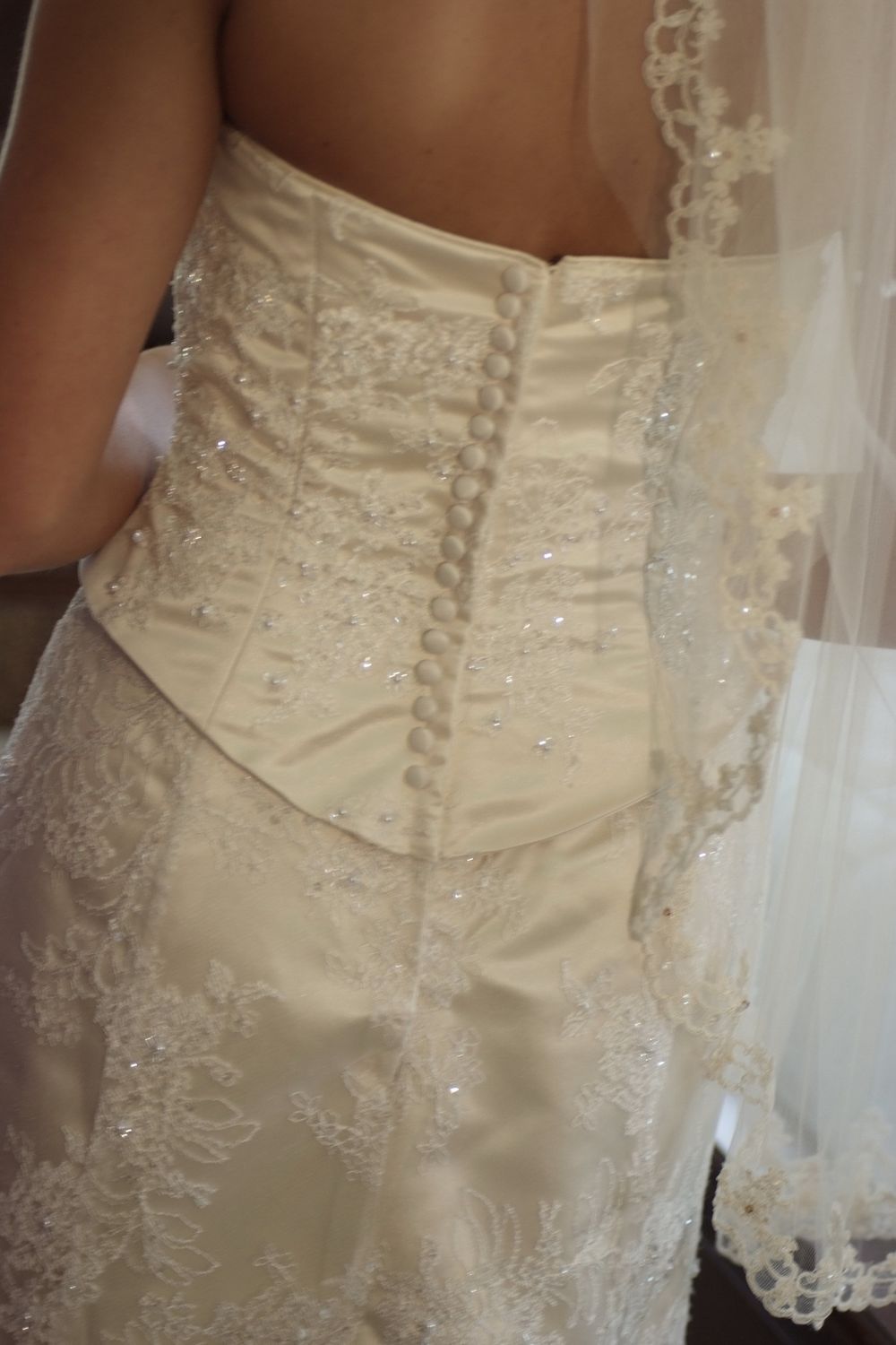 Christina Wu Christina Wu Lace Fit & Flare (Basque Waist) 2006 0