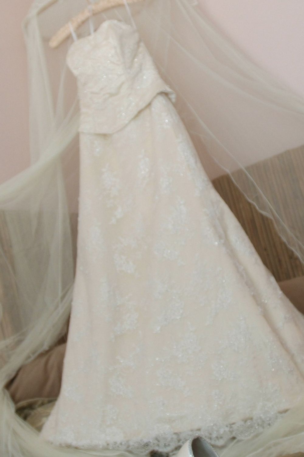 Christina Wu Christina Wu Lace Fit & Flare (Basque Waist) 2006 1