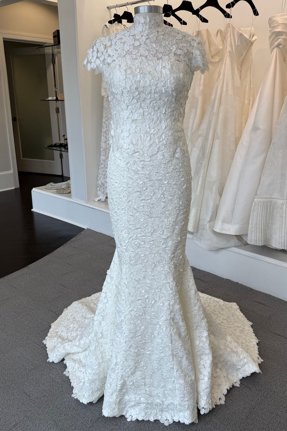 Sareh Nouri Take My Hand 0