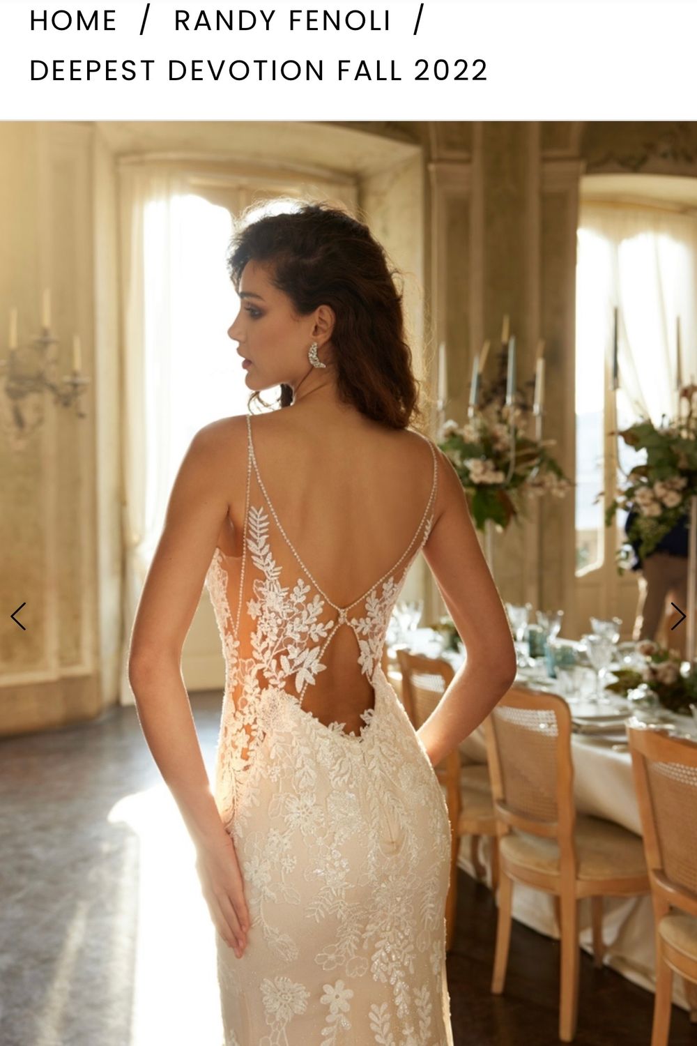 Randy Fenoli Drezden 1
