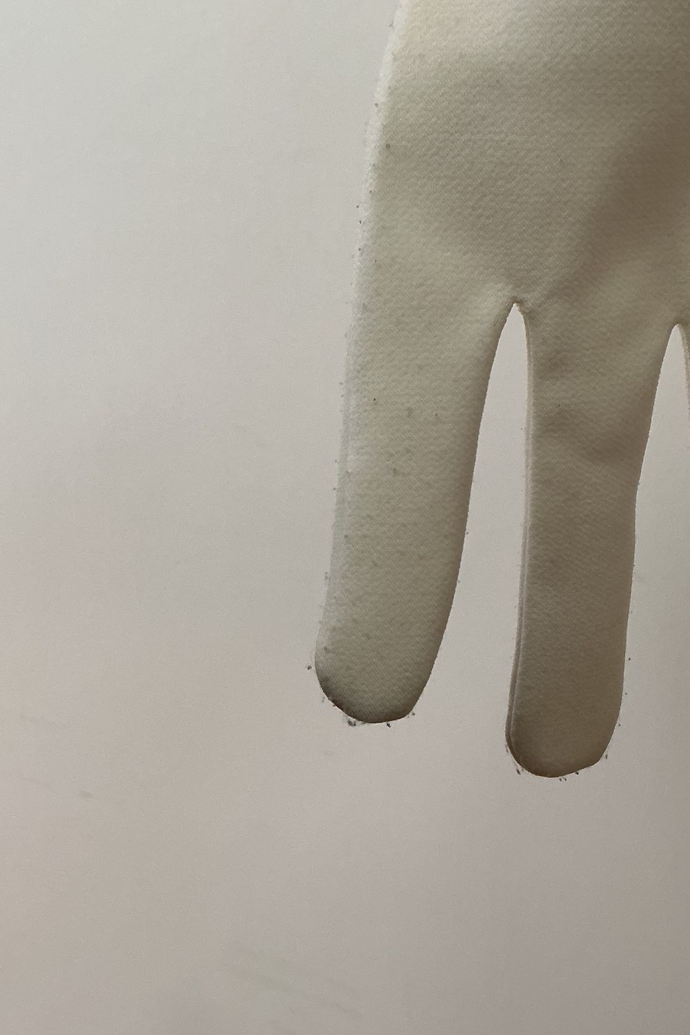 Nicole and Felicia NF064-Gloves 4