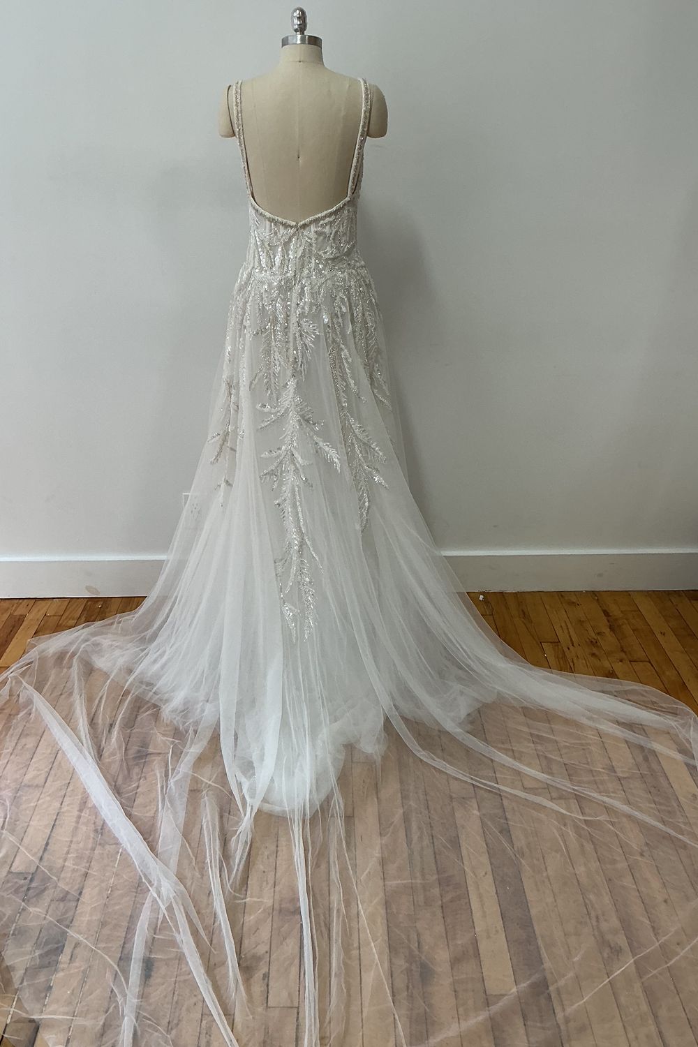 Tony Ward Kentia 2