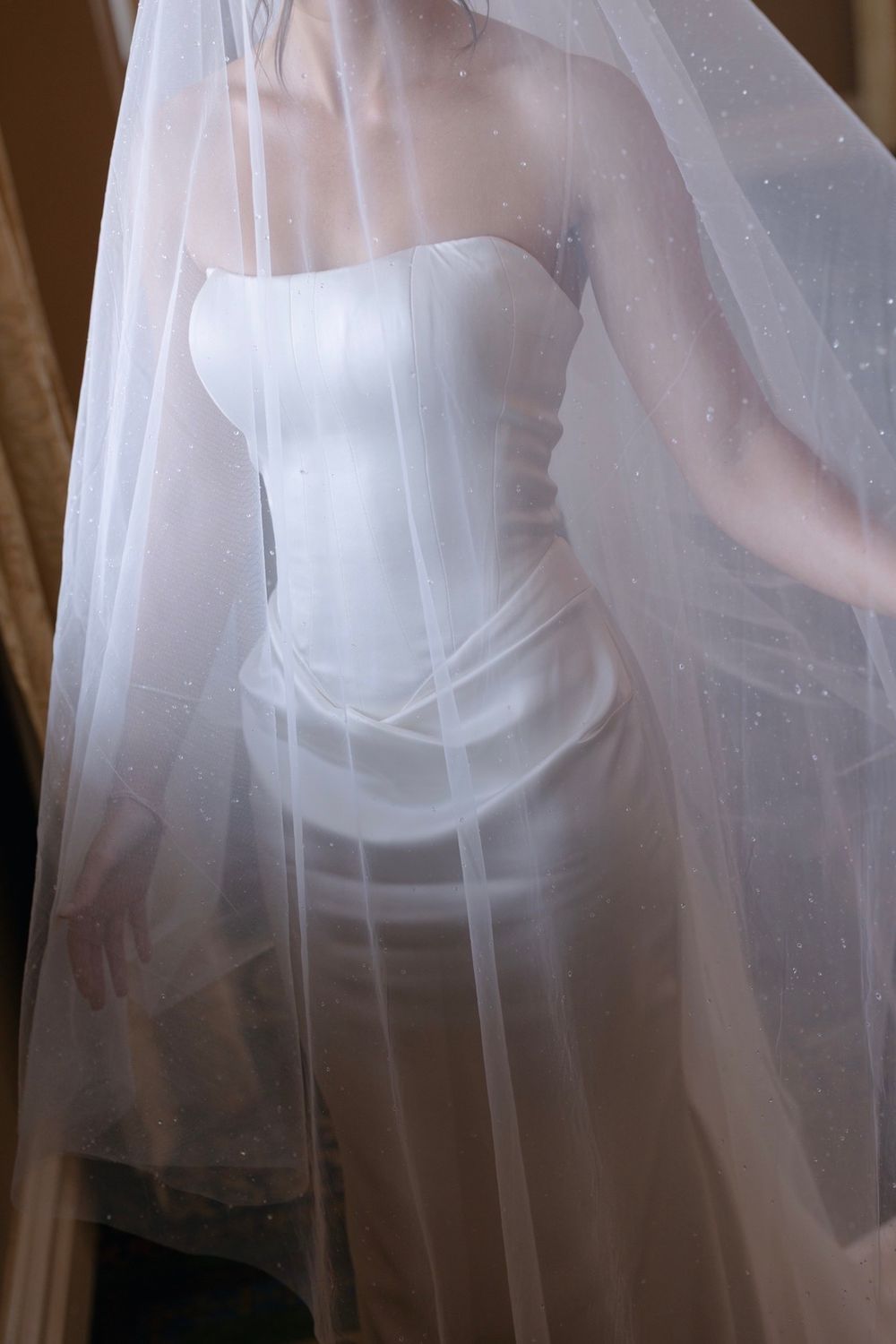 Pnina Tornai Dewdrop Crystal Cathedral Veil 0