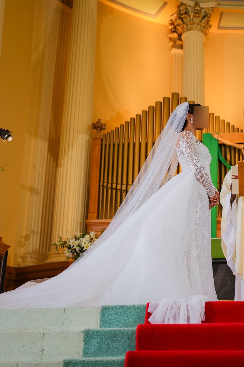Tony Ward STACEY with Veil and Overskirt 3