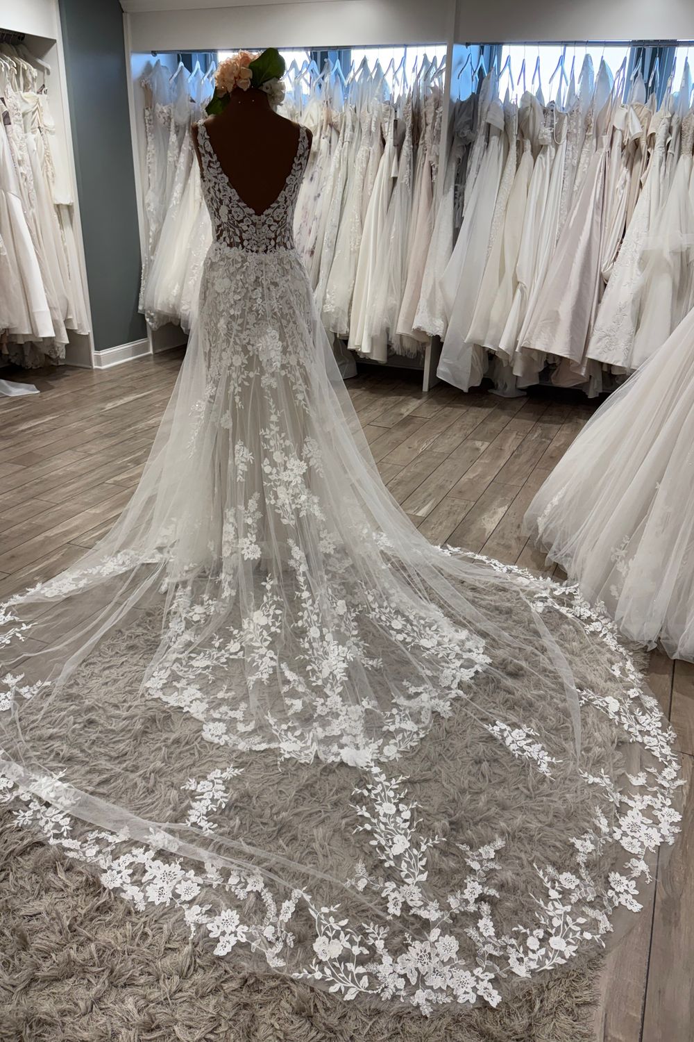 Sophia Tolli Finley (Y12238) 7