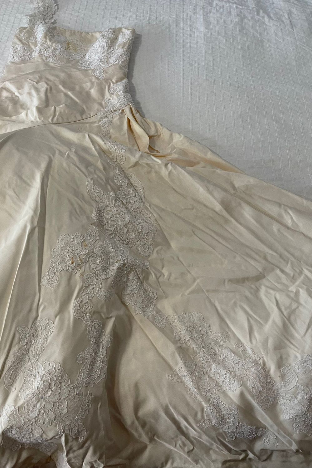 Lazaro 3910 With Veil 7