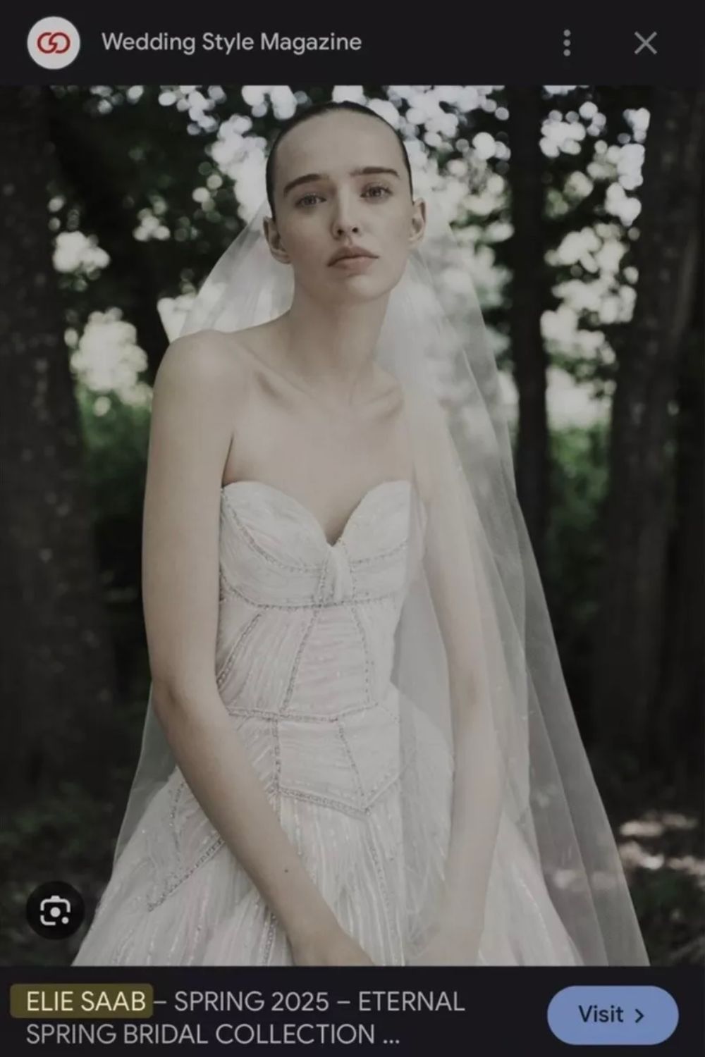 Elie Saab SPR/SUM 2025 ETERNAL SPRING LOOK 15 FINALE DRESS 7
