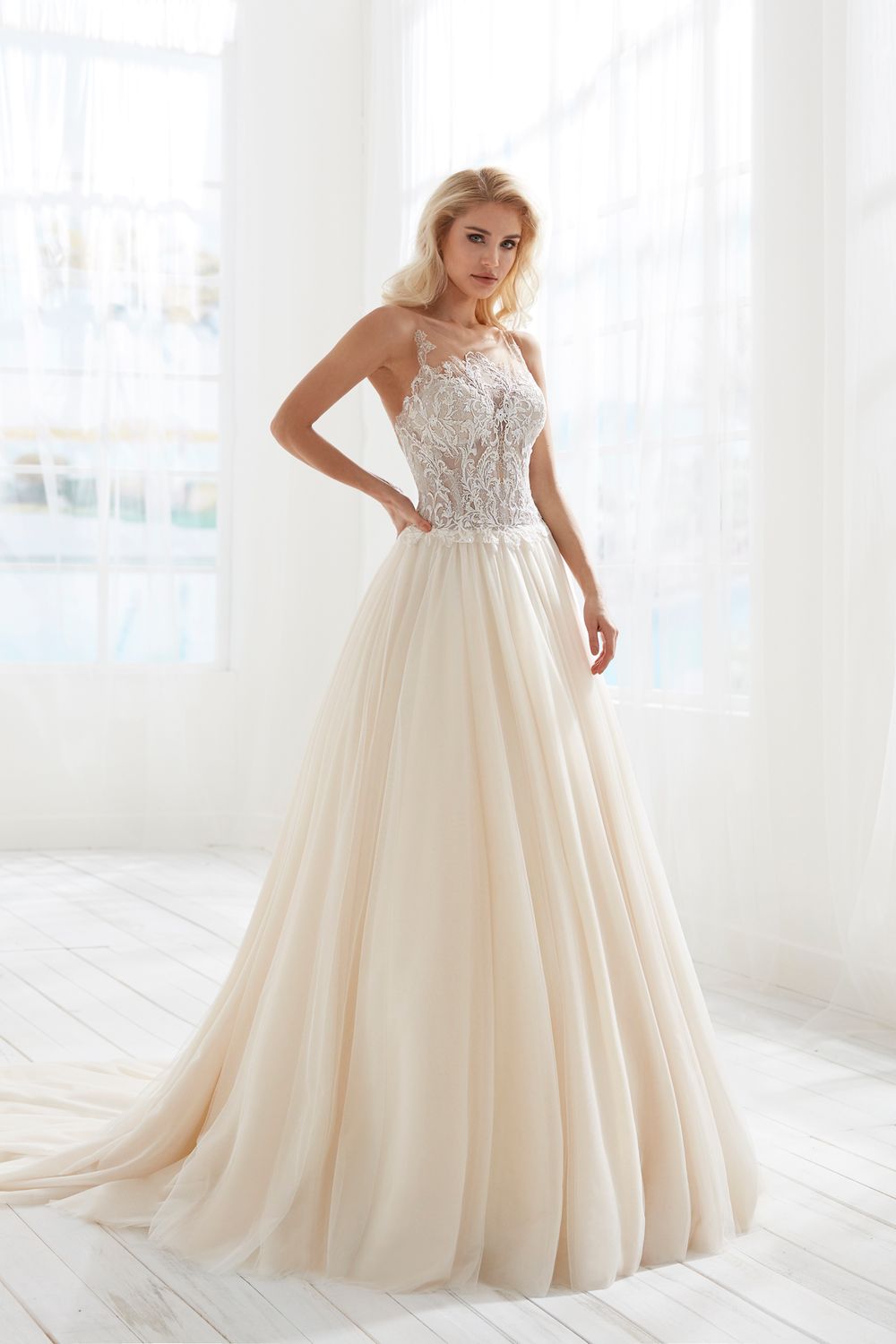 Randy Fenoli Blondie 1