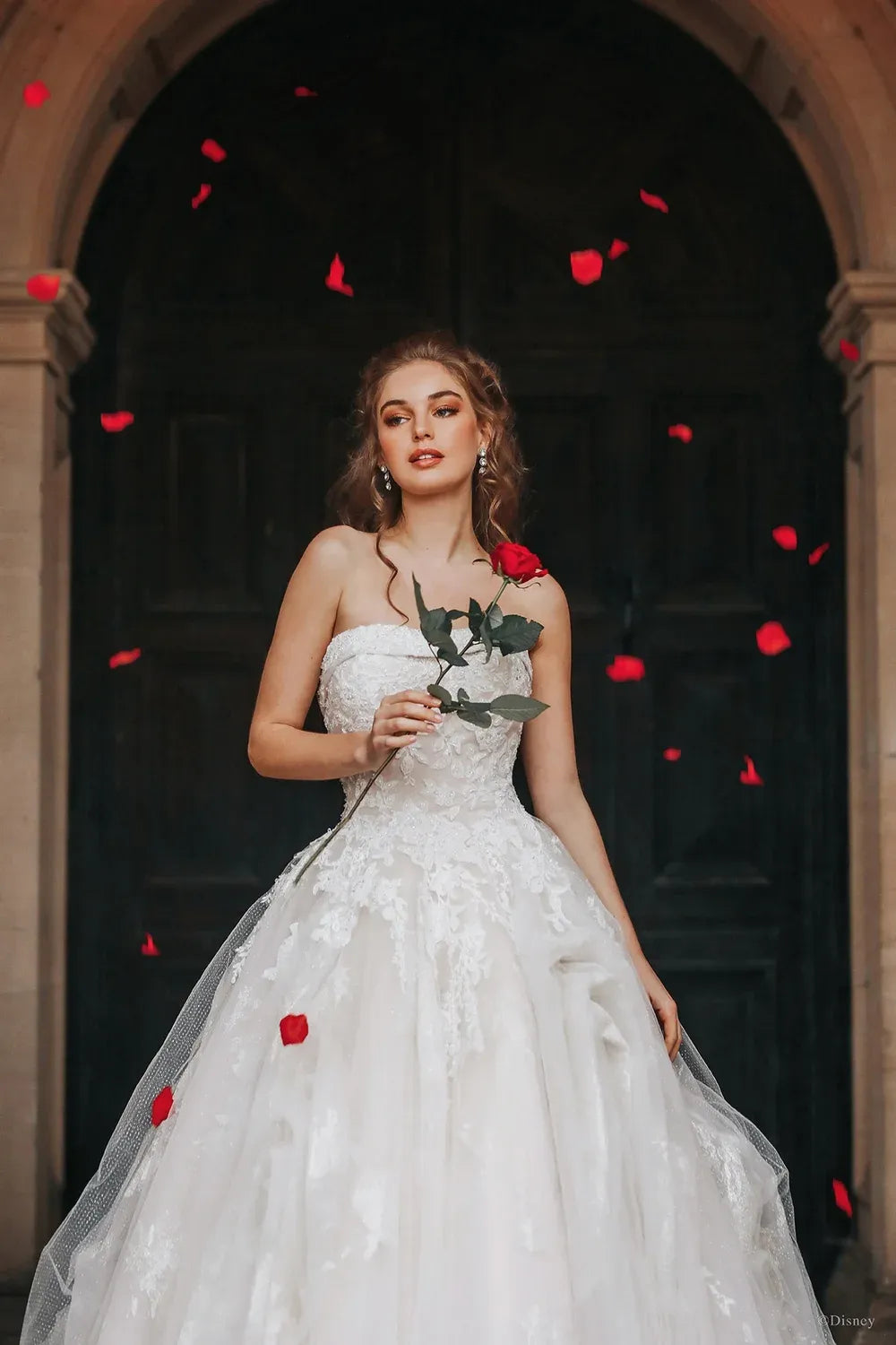 Allure Disney D292 with Veil 0