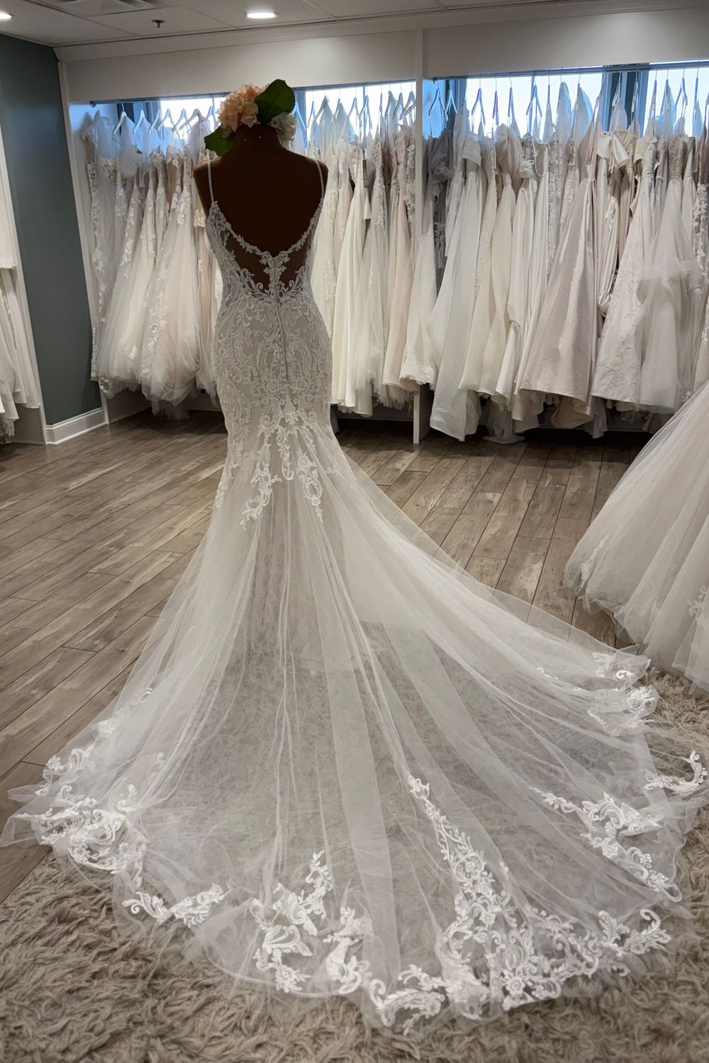 Sophia Tolli Lydia (Y3100) 3