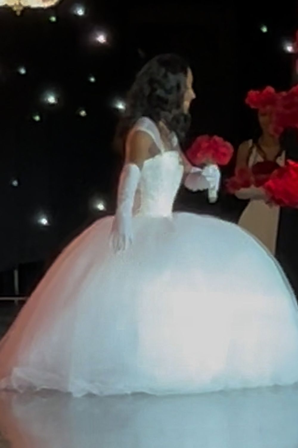 Used David's Bridal Wedding Dress