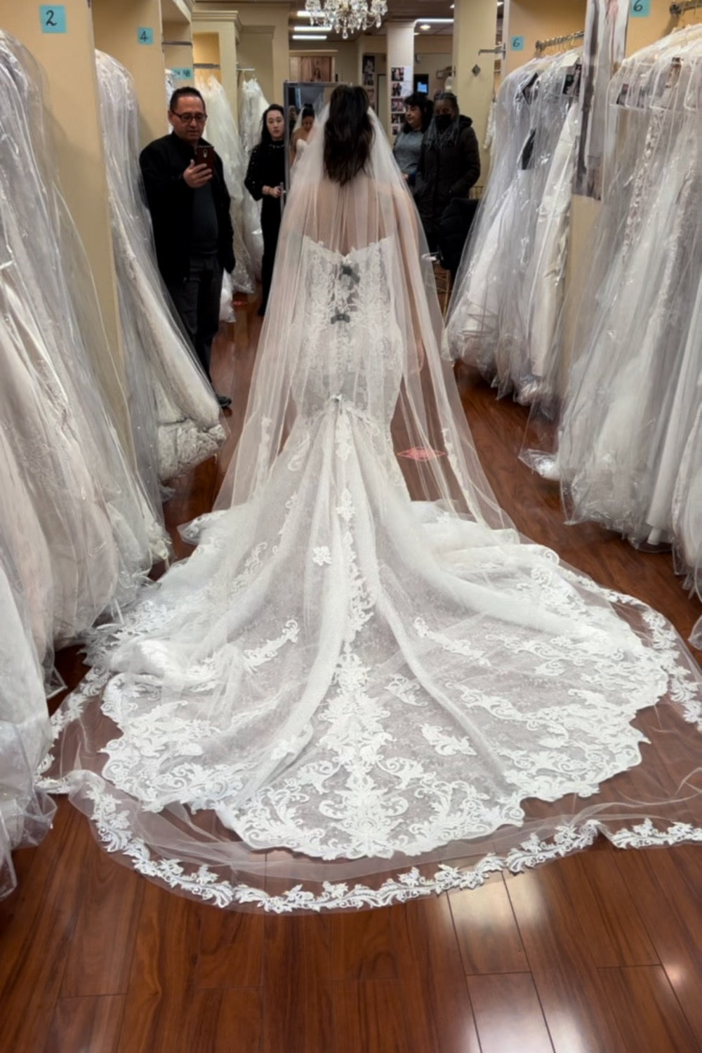 Sophia Tolli Harley 5