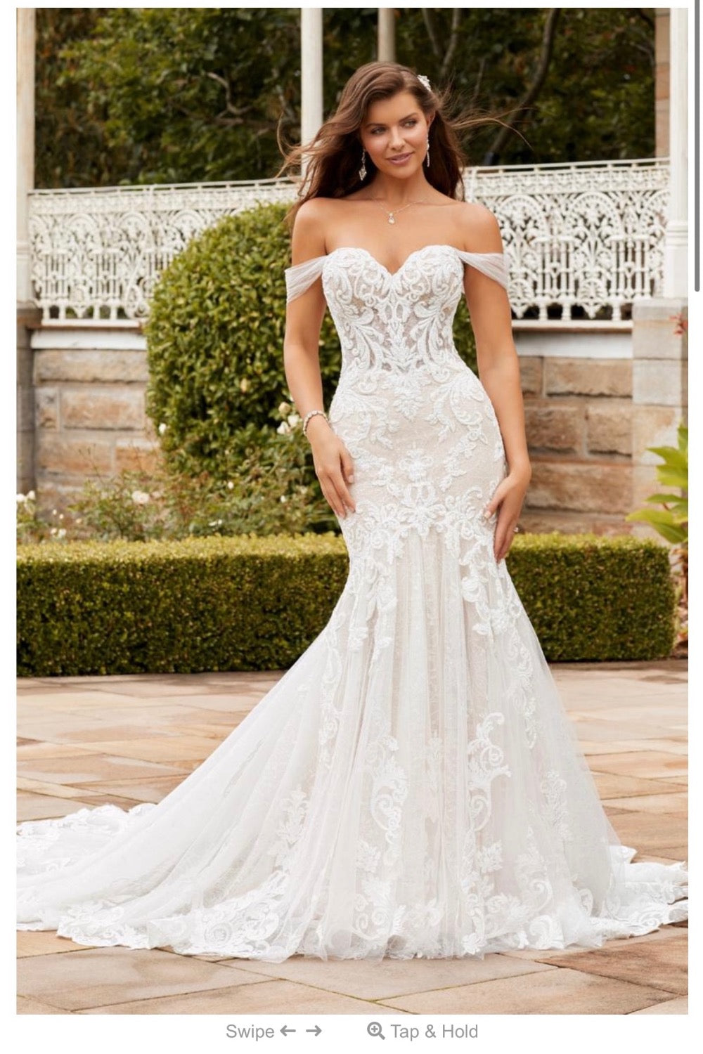 Sophia Tolli Harley 0