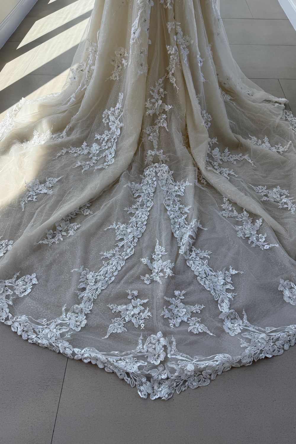 Amalia Carrara Amalia Carrara 355 7