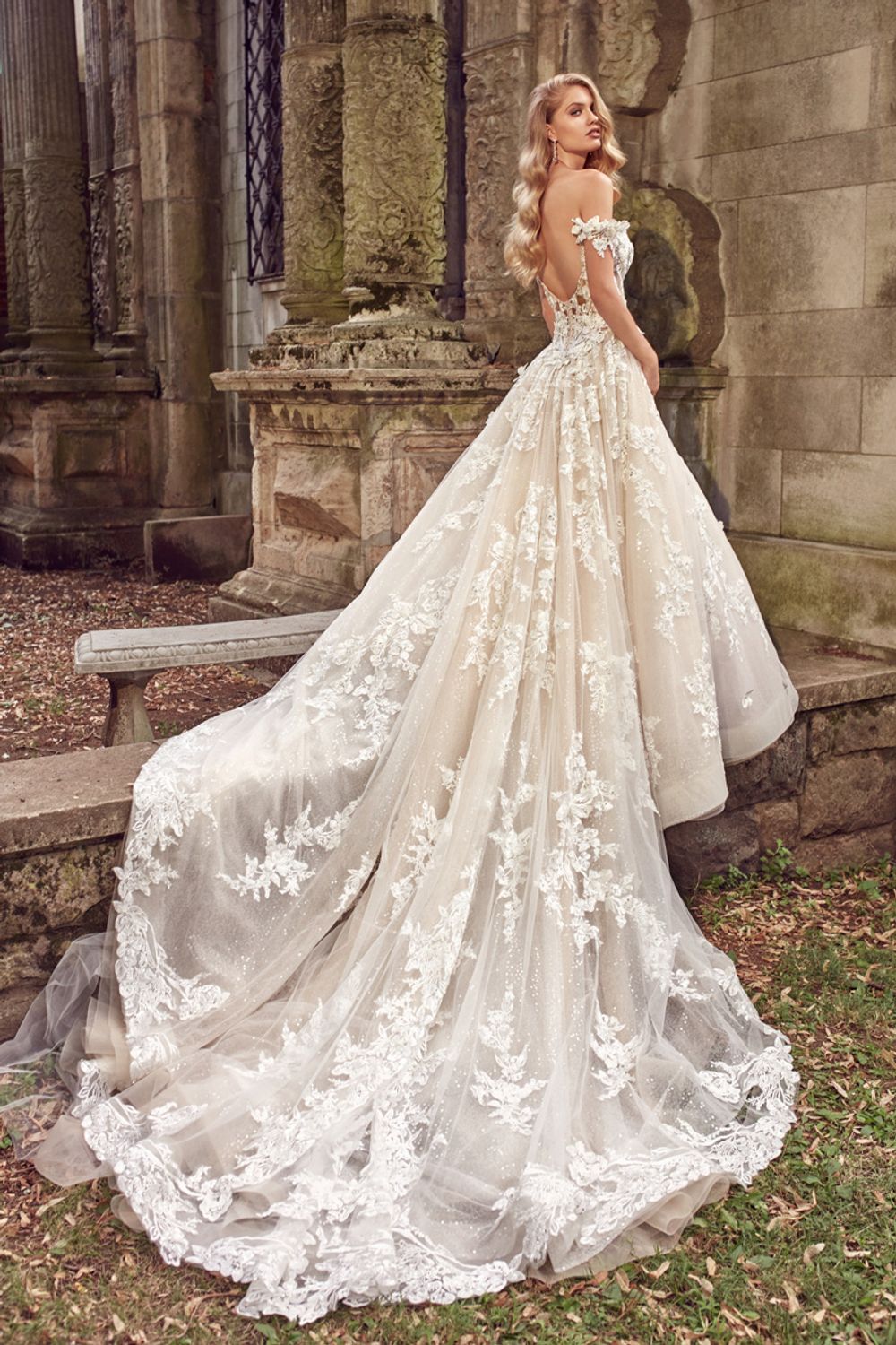 Amalia Carrara Amalia Carrara 355 1