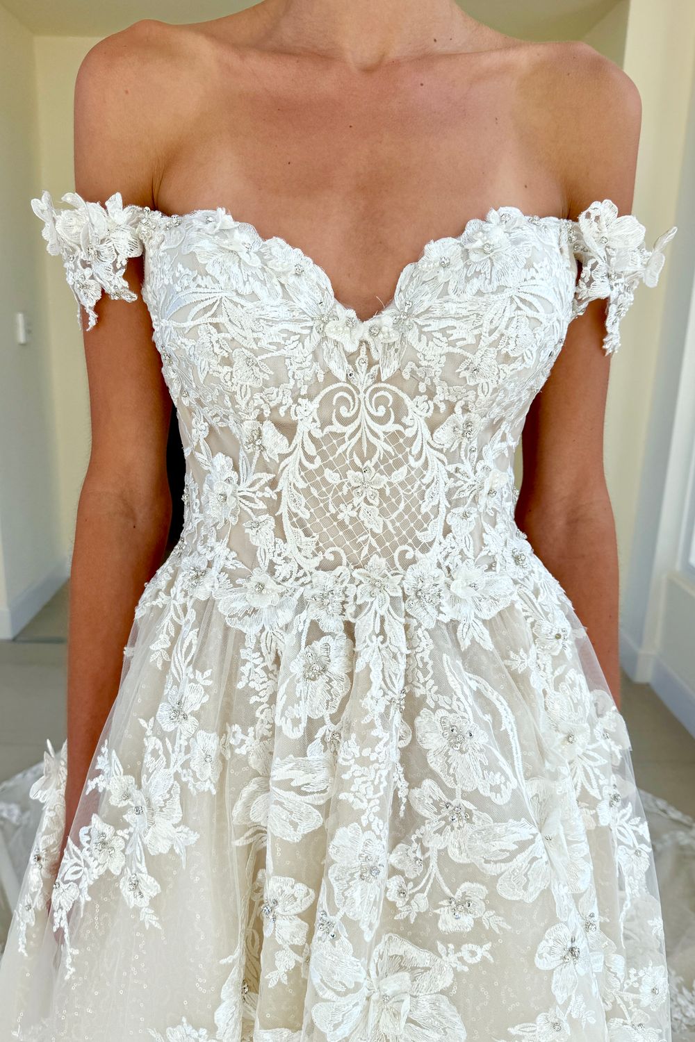 Amalia Carrara Amalia Carrara 355 6