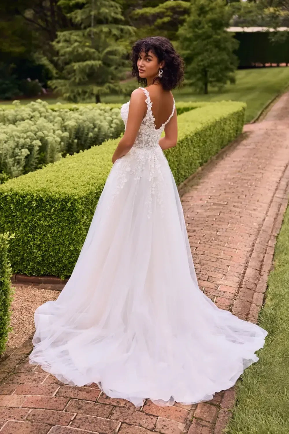 Sophia Tolli Daphne (Y3126) 1