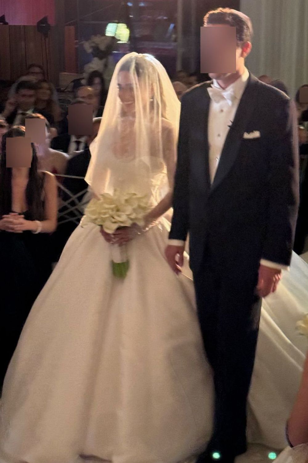 Ines Di Santo Star Gown with Veil 10
