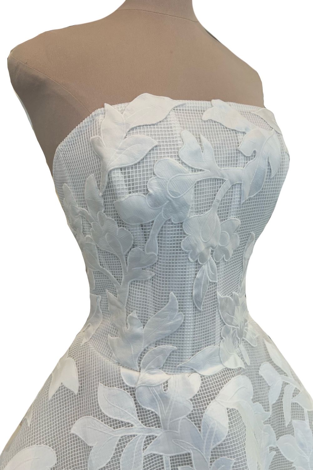 Ines Di Santo Canto with Veil 4