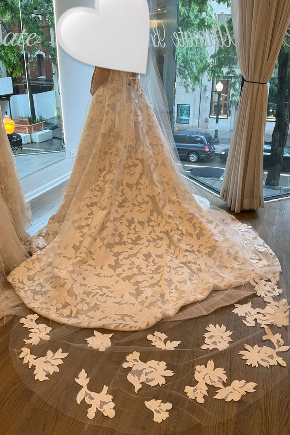 Ines Di Santo Canto with Veil 6