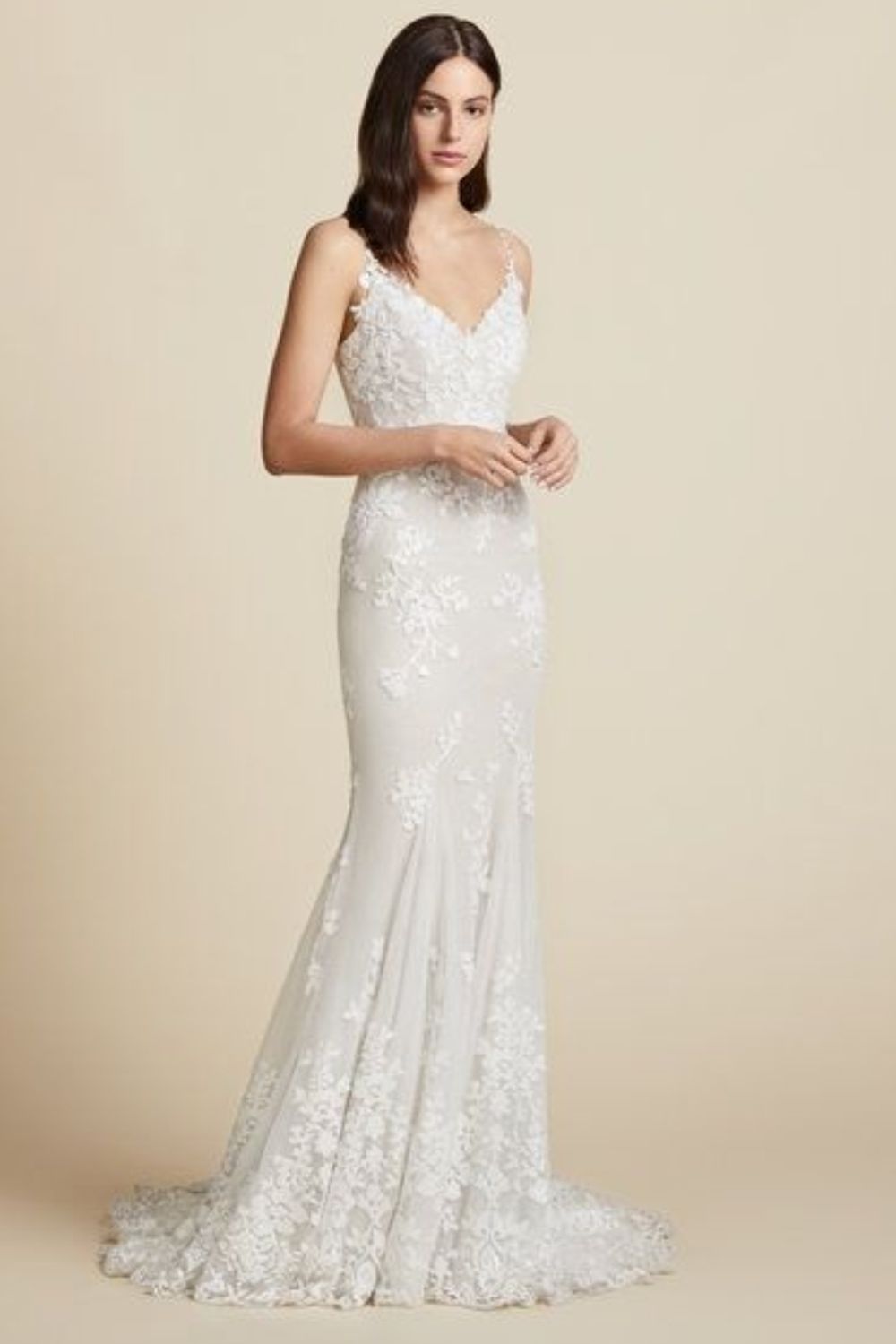 Blush by Hayley Paige Wilder Gown w/veil 1