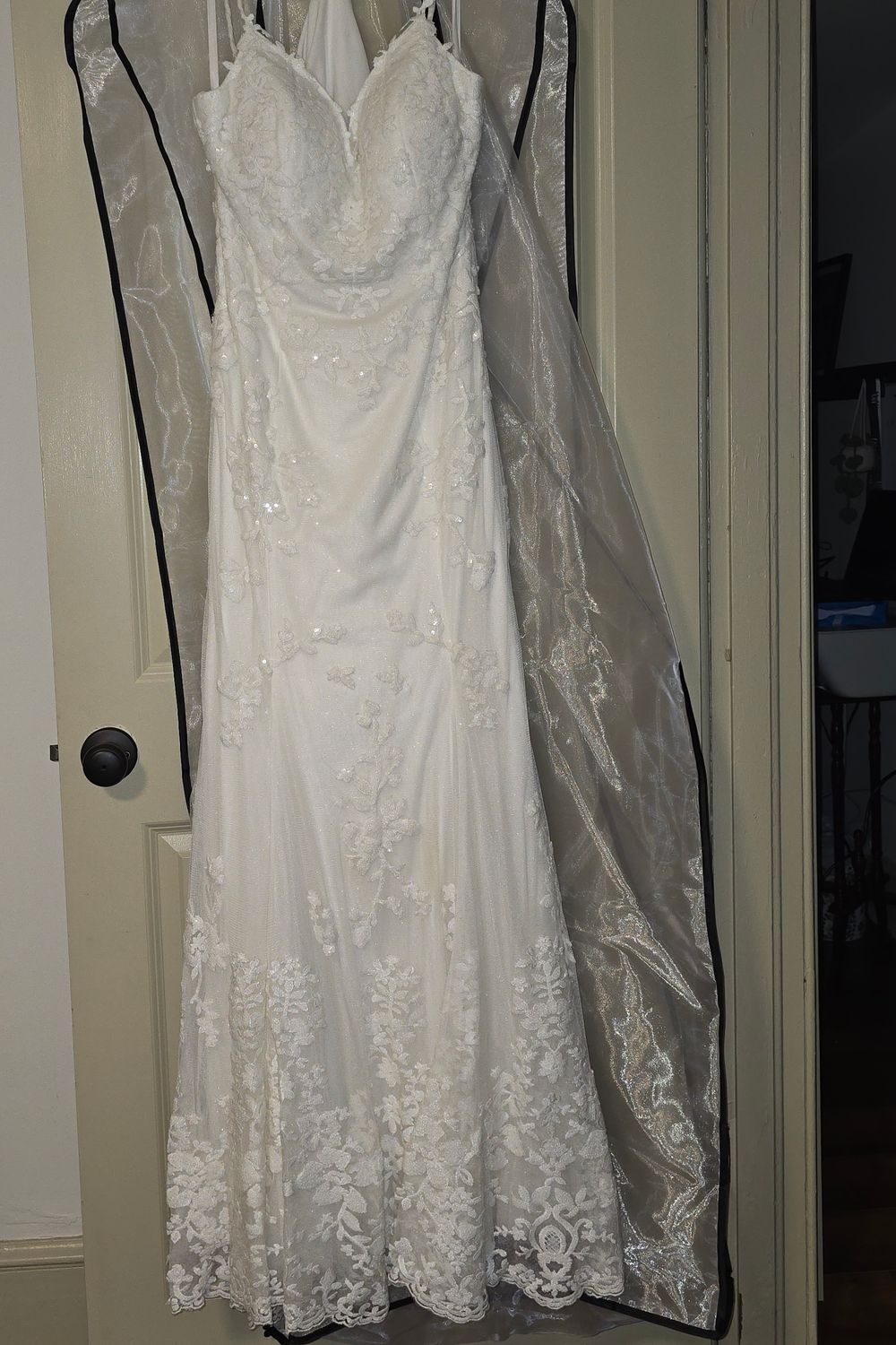 Blush by Hayley Paige Wilder Gown w/veil 3