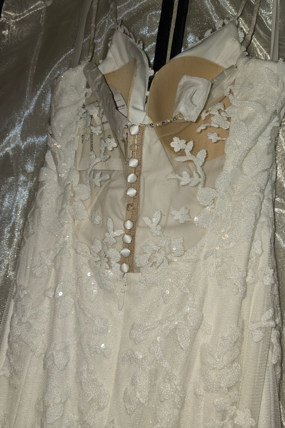 Blush by Hayley Paige Wilder Gown w/veil 2