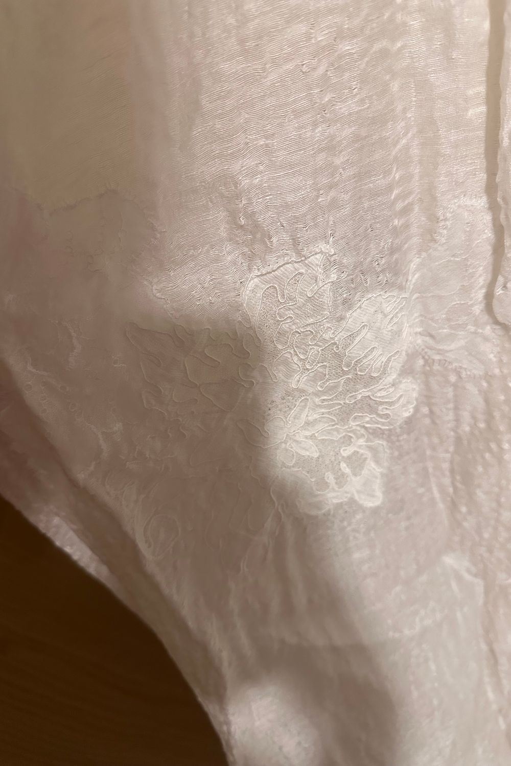 Danielle Frankel Leighton with Veil 11