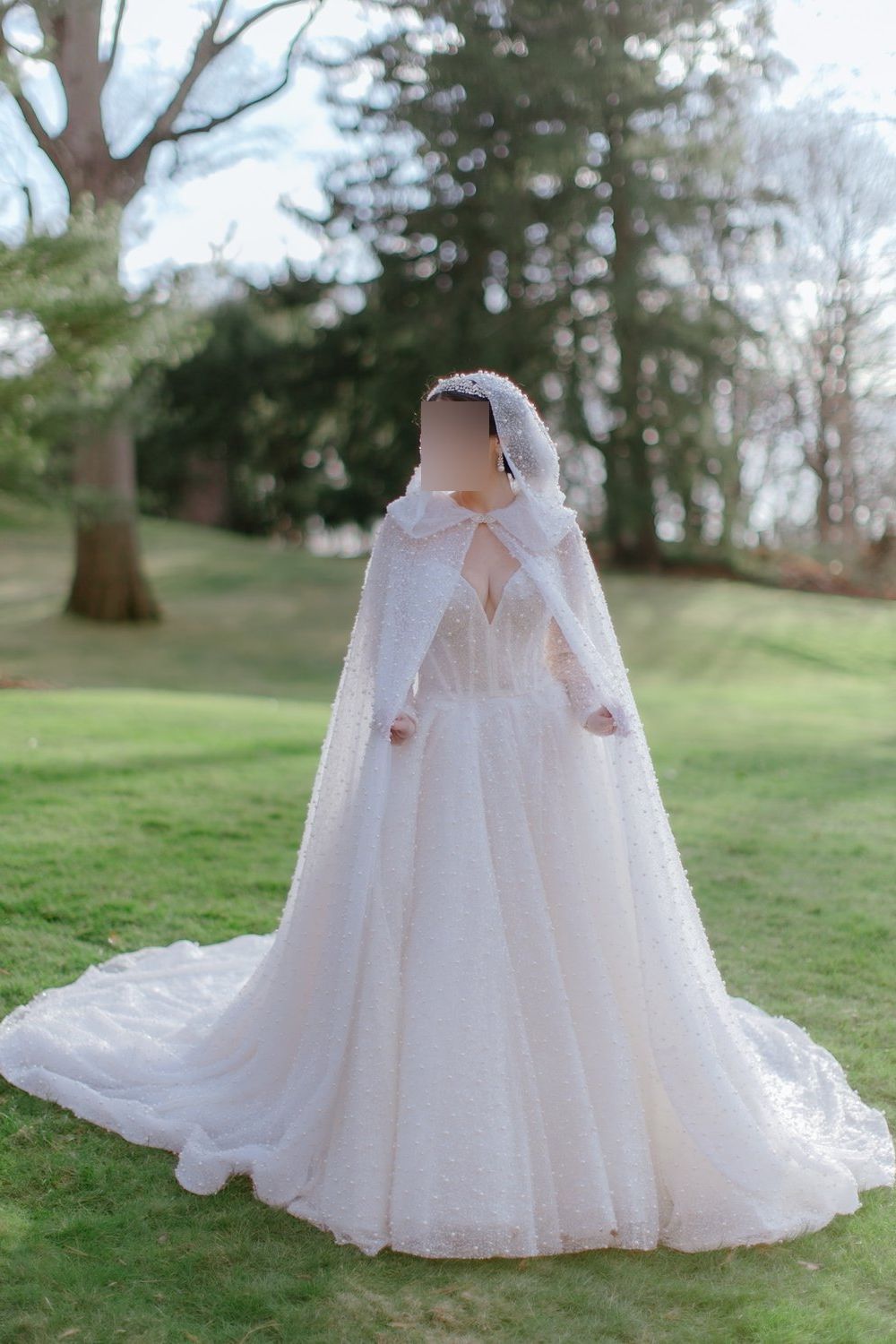 Rita Vinieris Semi-Custom Emma/Teagan Style with Veil 10