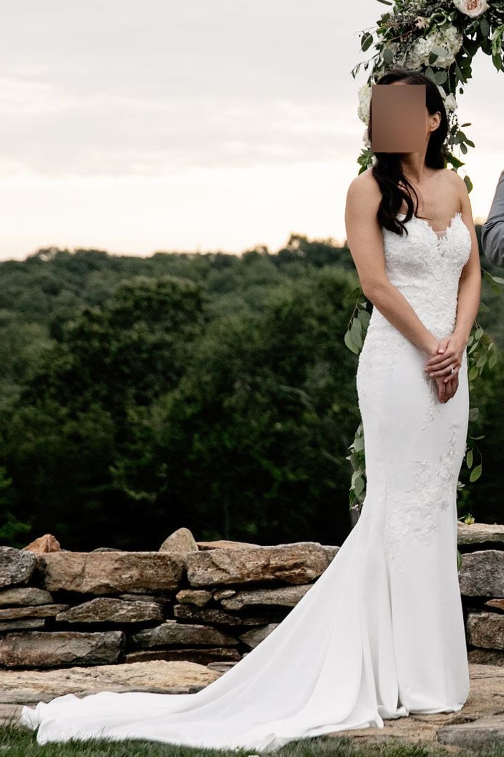 Used Pronovias Dante Wedding Dress