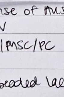 Essense of Australia D3157IV 3
