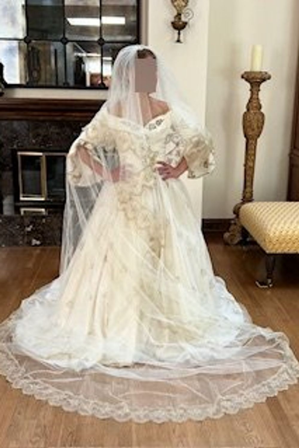 Catherine Davighi Ballgown A-Line Dress with Veil 2