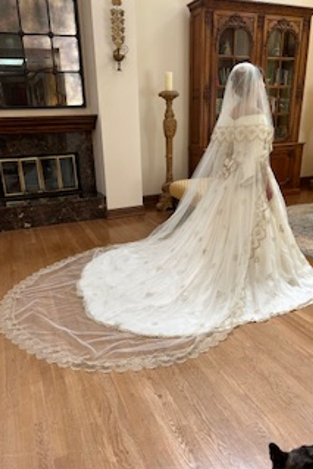 Catherine Davighi Ballgown A-Line Dress with Veil 1